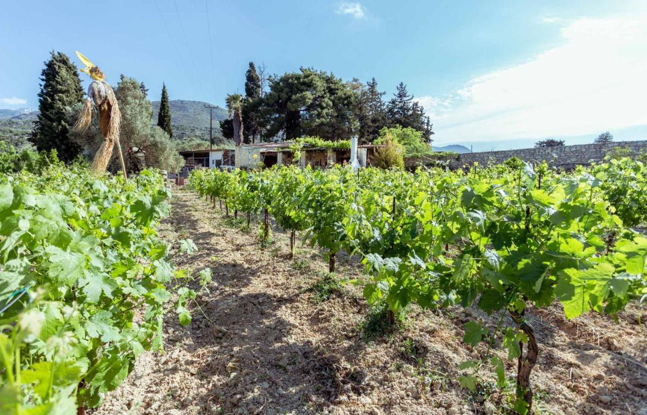 Nassibe Estate Villa Agios Ioannis  Exterior foto